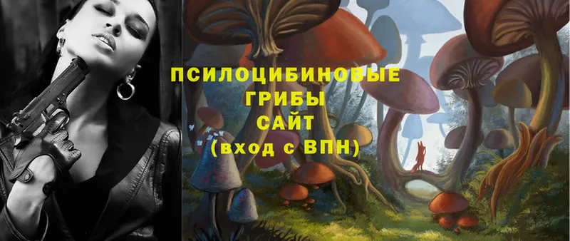 Галлюциногенные грибы MAGIC MUSHROOMS  хочу наркоту  Котлас 